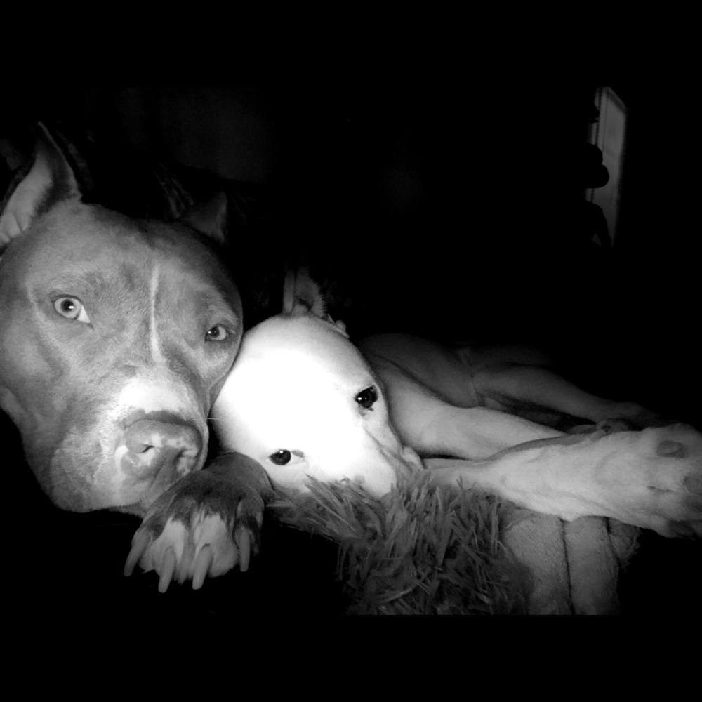 Meet your Posher, Alicia